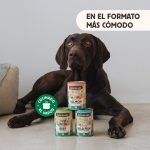 Alimento húmedo